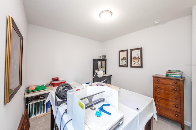 bedroom featuring carpet flooring