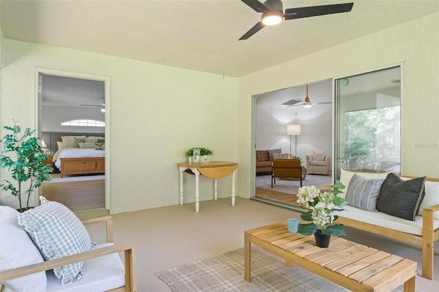 view of carpeted living room