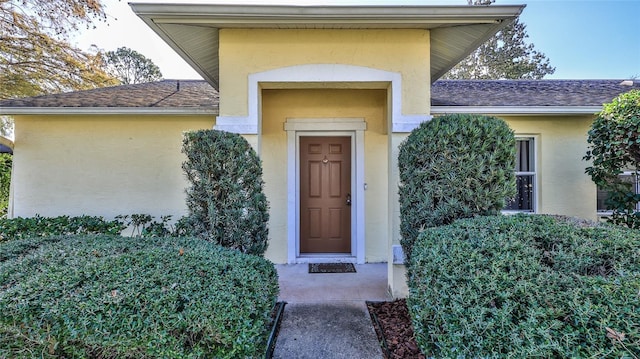 doorway to property featuring a shingled roof and stucco siding