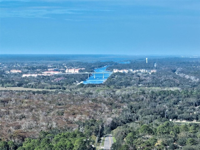 32 Shinnecock Dr, Palm Coast, FL 32137 - aerial view of a forest