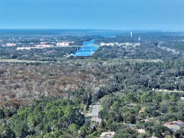 32 Shinnecock Dr, Palm Coast, FL 32137 - aerial view of a forest