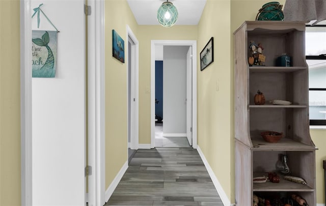 hallway with dark hardwood / wood-style floors