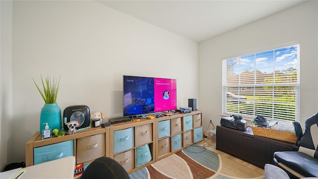 interior space with wood-type flooring