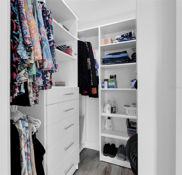 walk in closet featuring wood-type flooring