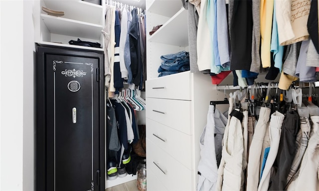 spacious closet with wood-type flooring