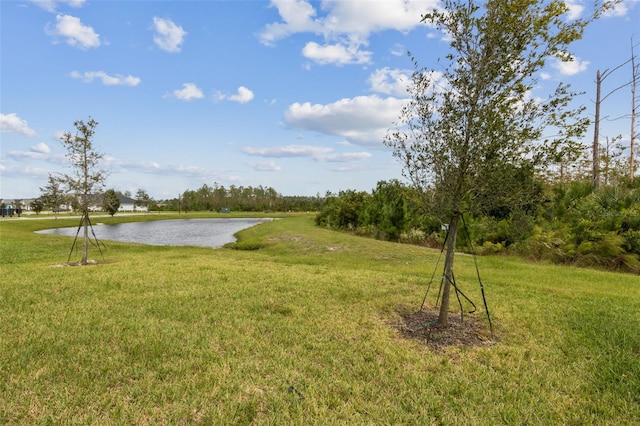 view of yard with a water view