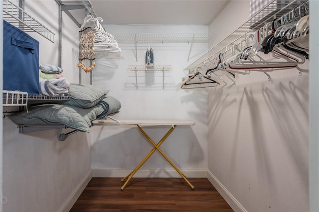 spacious closet with dark hardwood / wood-style floors