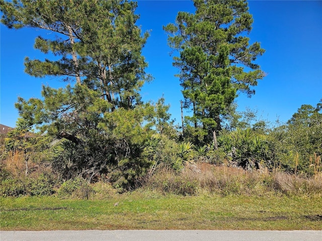 7 Wood Arbor Ln, Palm Coast FL, 32164 land for sale