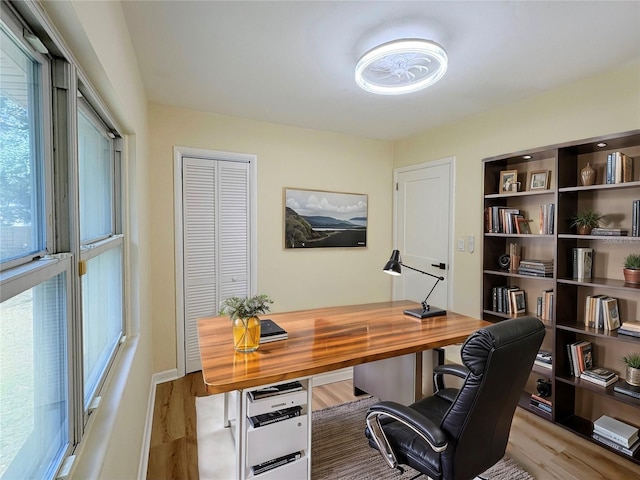 office space featuring a healthy amount of sunlight and light wood-type flooring