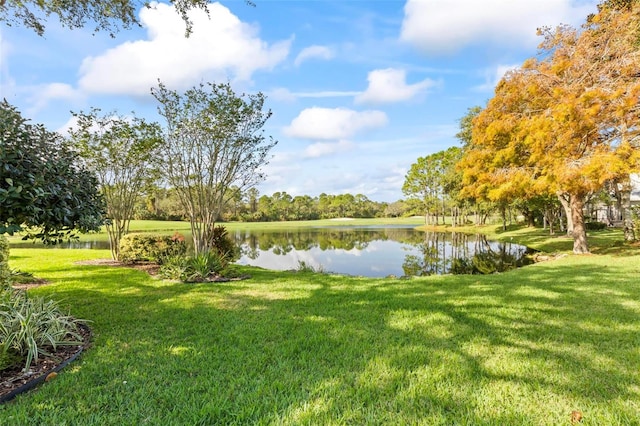 view of yard with a water view