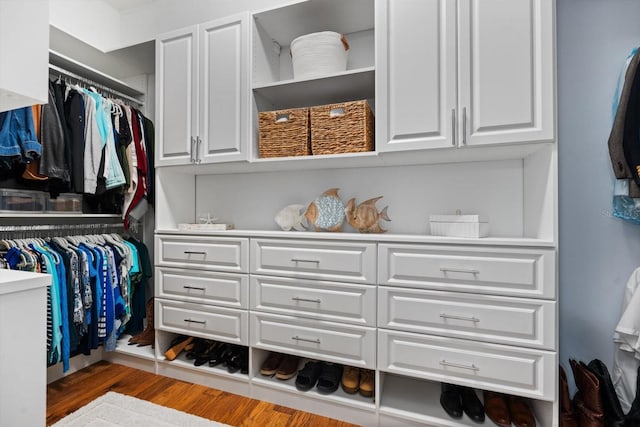 spacious closet with wood-type flooring