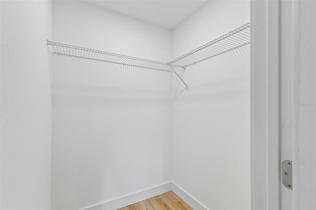 walk in closet featuring hardwood / wood-style floors