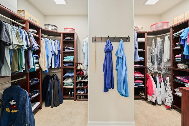 walk in closet with carpet floors