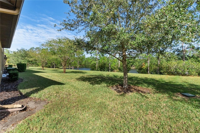 view of yard with a water view