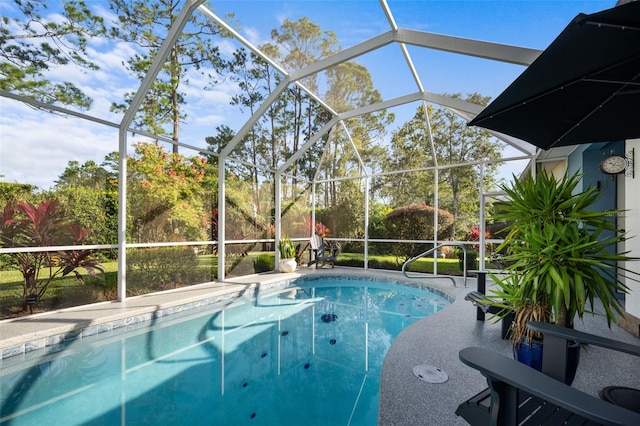 outdoor pool featuring a lanai and a patio