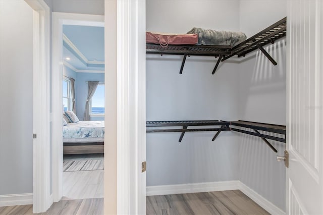 walk in closet featuring light wood finished floors