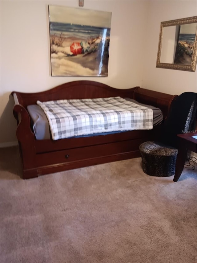 bedroom with carpet flooring