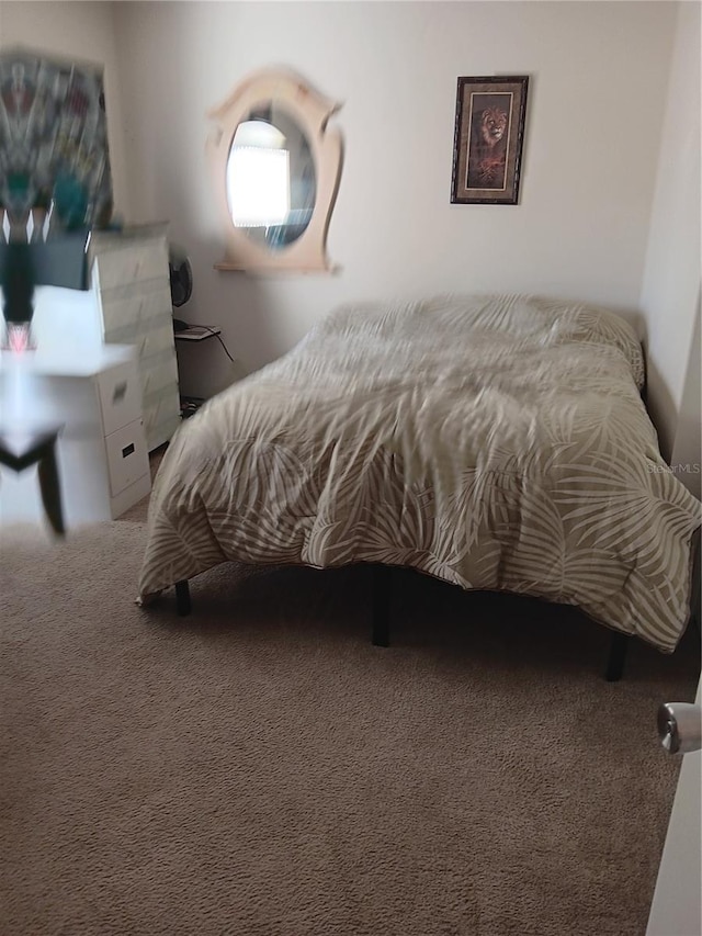 bedroom with carpet floors