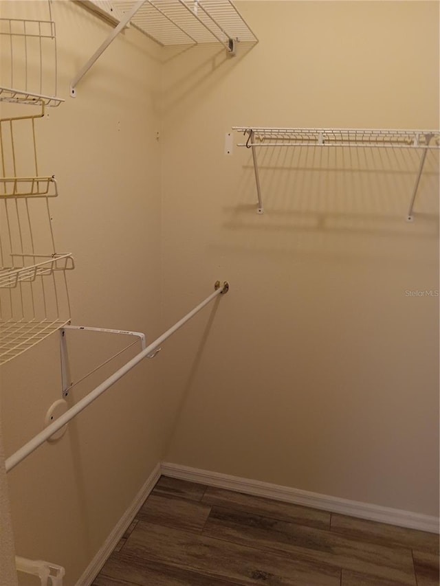 spacious closet featuring dark hardwood / wood-style flooring