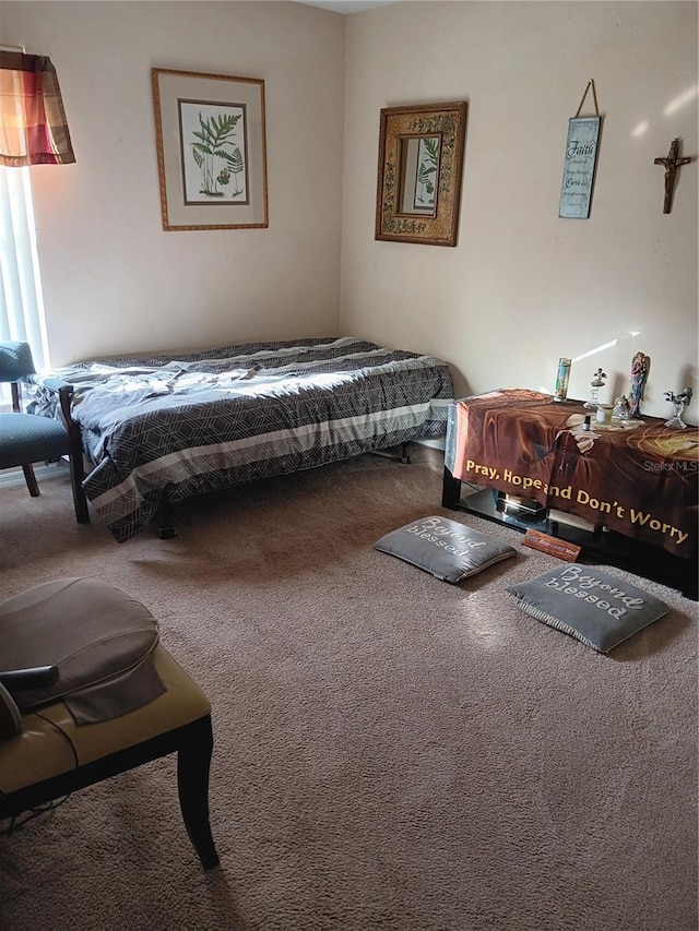 bedroom featuring carpet flooring