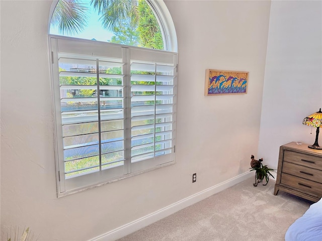 bedroom with multiple windows and light carpet