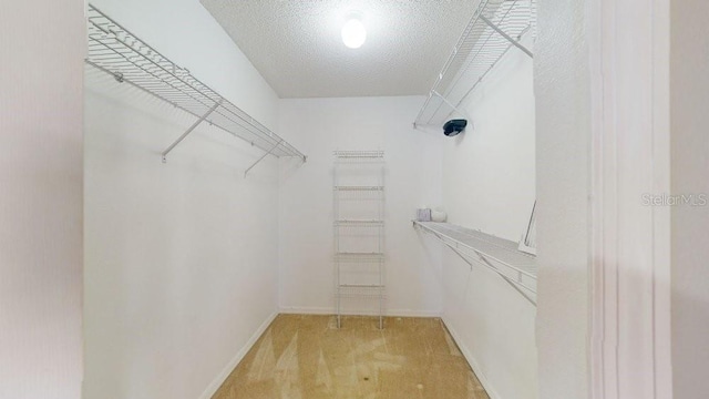 spacious closet featuring light carpet