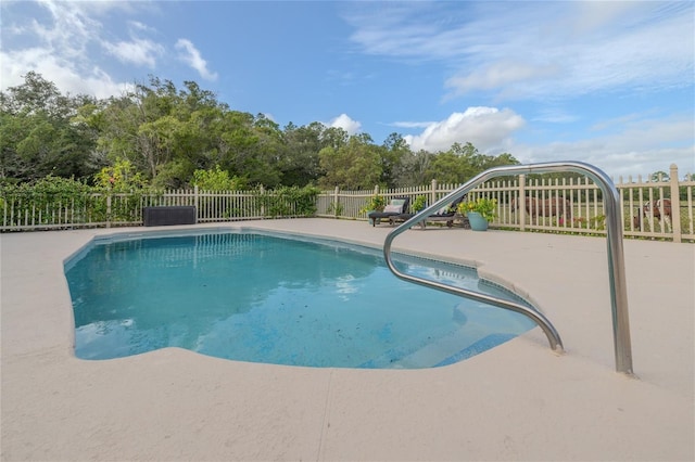 view of pool with a patio