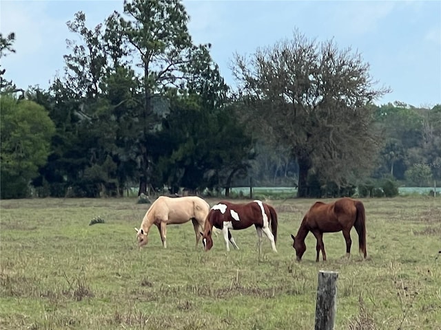 view of community with a rural view