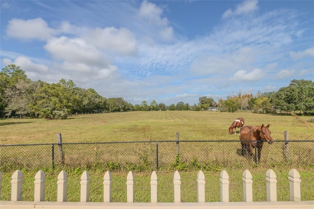 view of yard featuring a rural view