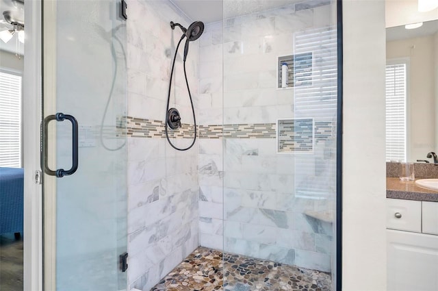 bathroom featuring vanity, a shower with shower door, and plenty of natural light