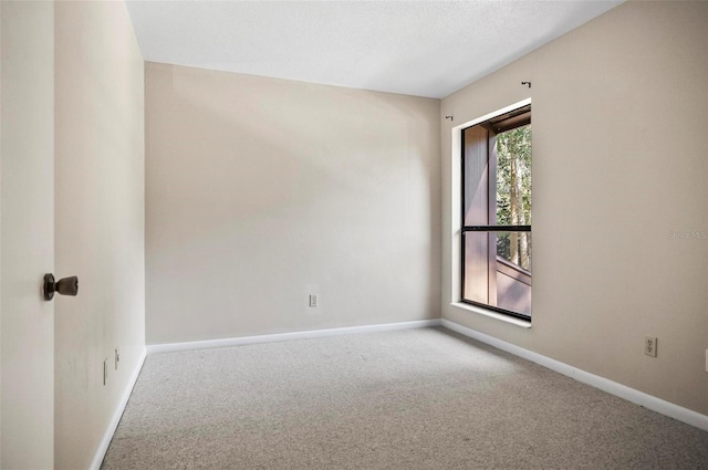 empty room featuring carpet flooring and a textured ceiling