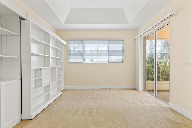 interior space featuring light carpet and a raised ceiling