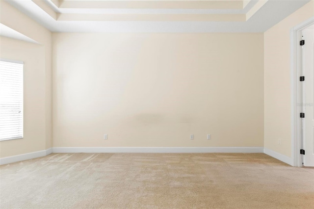 spare room featuring light carpet and a raised ceiling