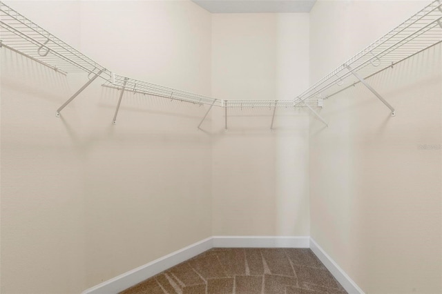 spacious closet featuring carpet