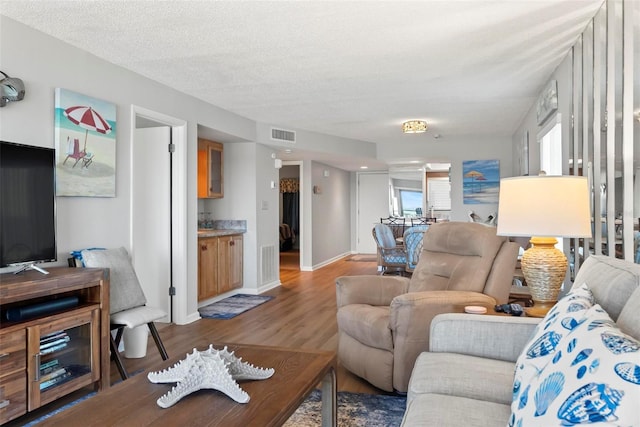 living room featuring hardwood / wood-style floors and a textured ceiling