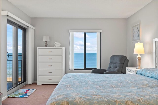 carpeted bedroom featuring a water view