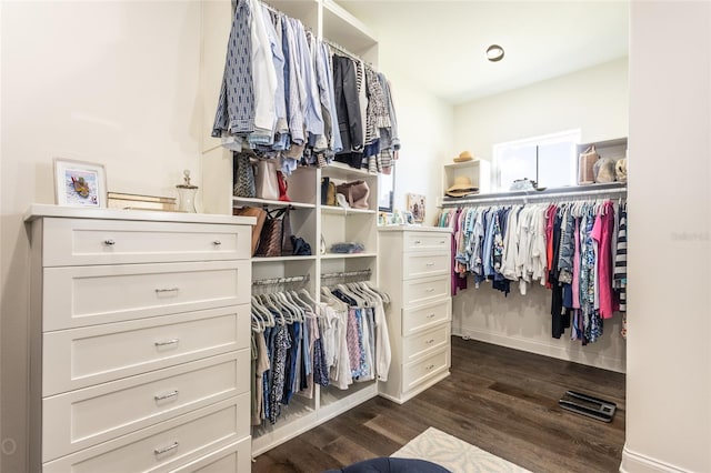 spacious closet with dark hardwood / wood-style flooring