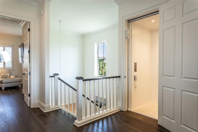 corridor featuring crown molding and dark wood-type flooring