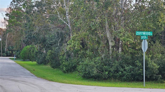 1 Zoffwood Ct, Palm Coast FL, 32164 land for sale