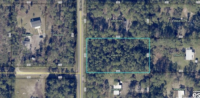 10420 Ebert Ave, Hastings FL, 32145 land for sale