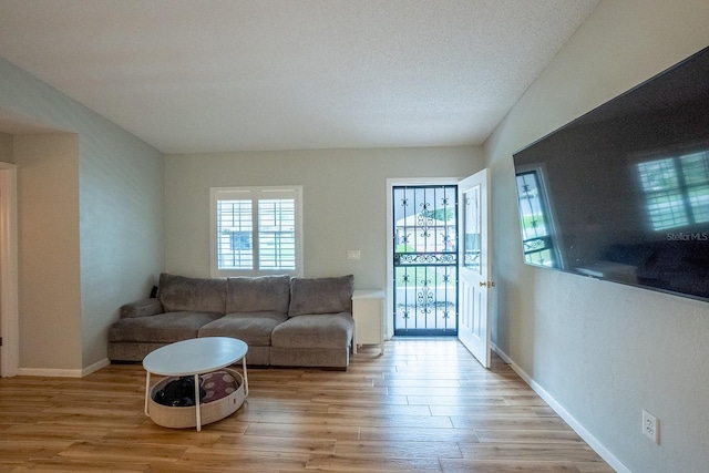 living room with a textured ceiling and light wood-type flooring