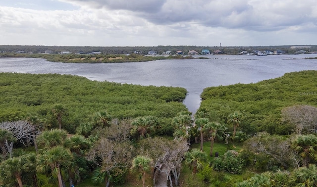 1611 N Daytona Ave, Flagler Beach, FL 32136