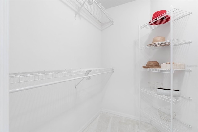 spacious closet featuring carpet floors