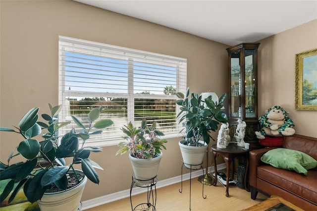 living area with plenty of natural light and light hardwood / wood-style floors