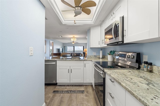 kitchen featuring dark hardwood / wood-style floors, white cabinetry, appliances with stainless steel finishes, and a tray ceiling