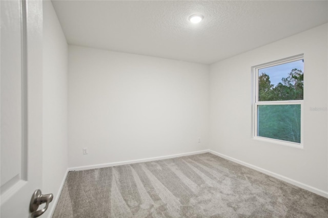 empty room with carpet floors and a textured ceiling