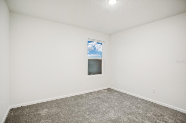 spare room with carpet floors