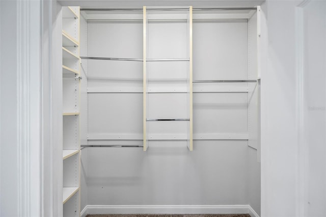 spacious closet featuring carpet