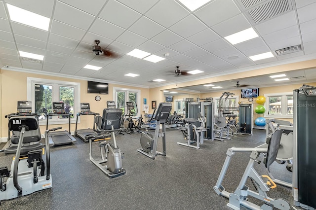 gym with a drop ceiling, ceiling fan, and ornamental molding