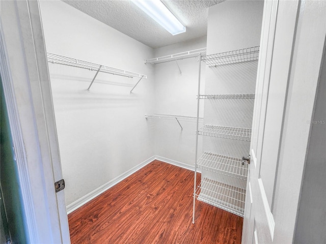 walk in closet with hardwood / wood-style floors